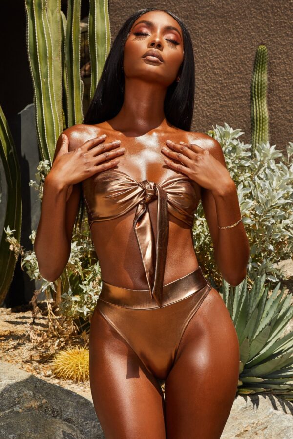Metallic High Waisted Bikini Bottoms in Bronze - Image 9