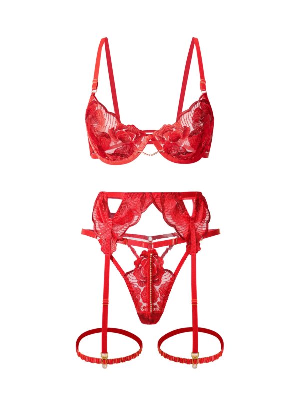 Luxurious Fancy Sexy Lingerie Set - Image 8
