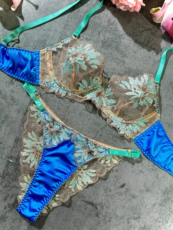 Vintage Peacock Blue Lingerie Set - Image 3